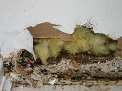 About SurgeLogic Crew - water damage restoration experts in Oceanside